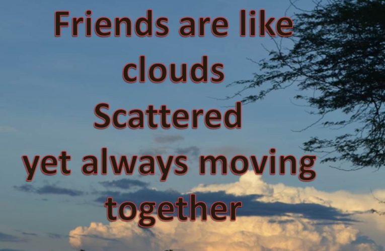 Best Friends Forever Quotes To Make you Cry and Smile