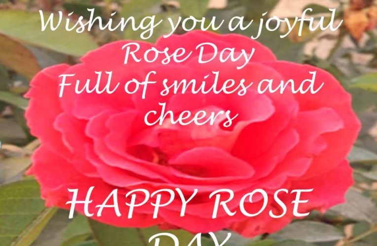 Rose Day Images for Friends to Wish Happy Rose Day 2024